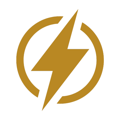 Elektronische Diagnose Icon